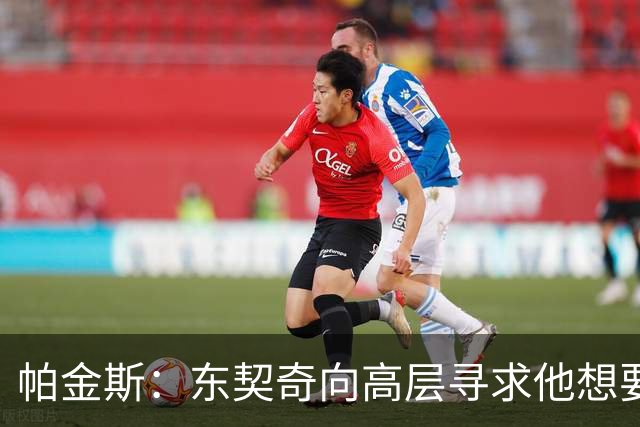 帕金斯：东契奇向高层寻求他想要的人 他巅峰也就剩未来三四年了